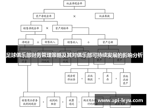 足球俱乐部财务管理策略及其对俱乐部可持续发展的影响分析