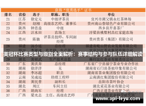 美冠杯比赛类型与级别全面解析：赛事结构与参与队伍详细解读