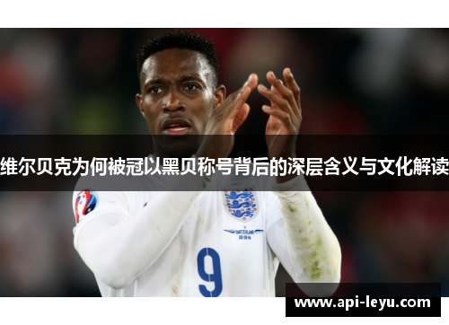 维尔贝克为何被冠以黑贝称号背后的深层含义与文化解读