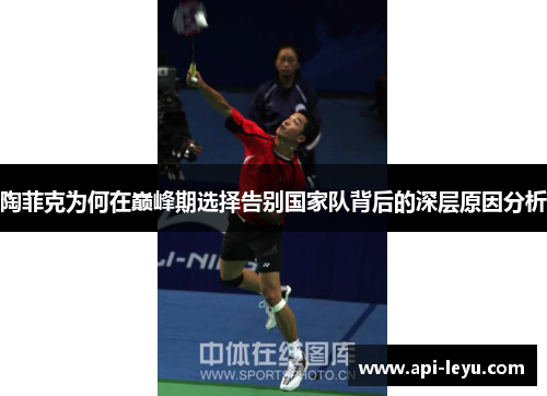 陶菲克为何在巅峰期选择告别国家队背后的深层原因分析