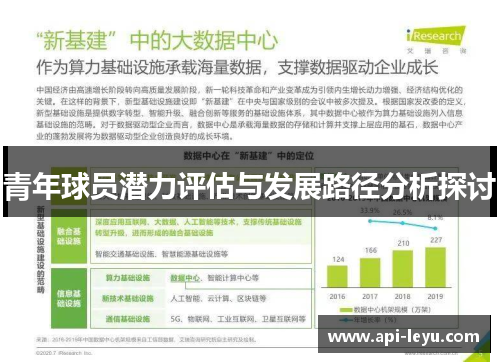 青年球员潜力评估与发展路径分析探讨