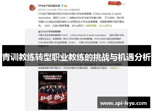 青训教练转型职业教练的挑战与机遇分析